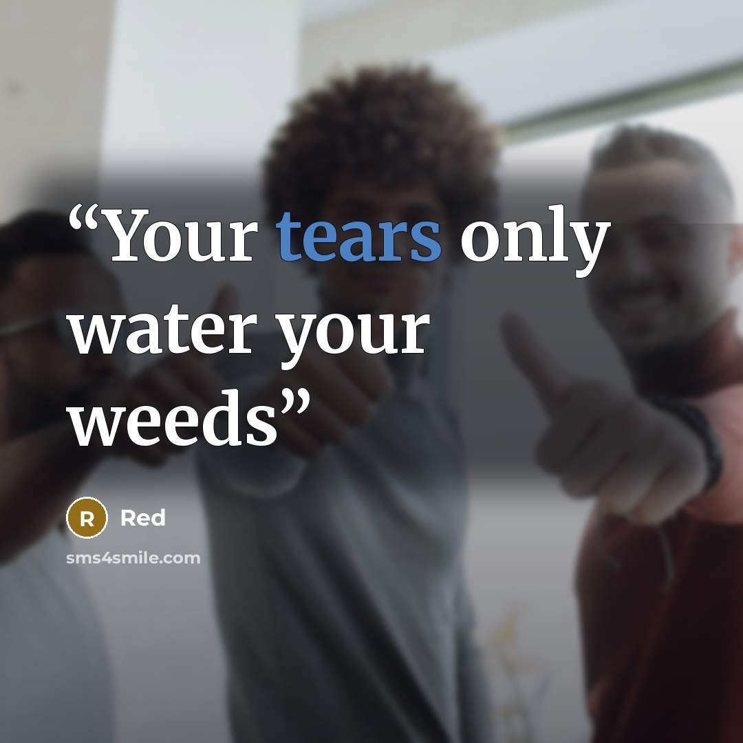 “Your tears only water your weeds” quote by Red