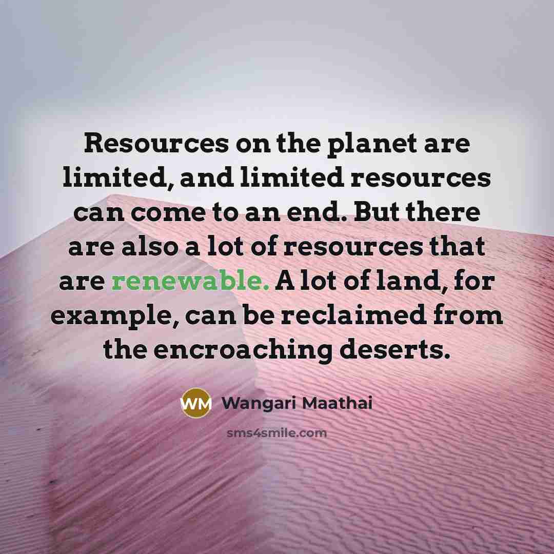 “Resources on the planet are limited, and limited resources can come to an end. But there are also a lot of resources that are renewable. A lot of land, for example, can be reclaimed from the encroaching deserts.” quote by Wangari Maathai