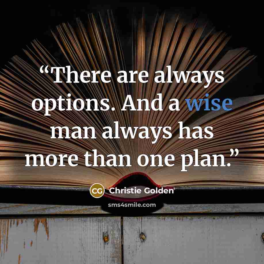 “There are always options. And a wise man always has more than one plan.” quote by Christie Golden