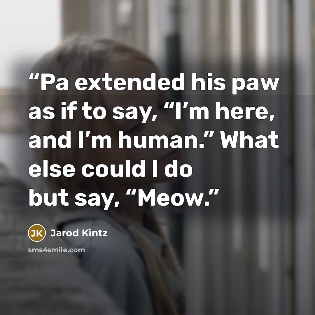 “Pa extended his paw as if to say, “I’m here, and I’m human.” What else could I do but say, “Meow.” quote by Jarod Kintz