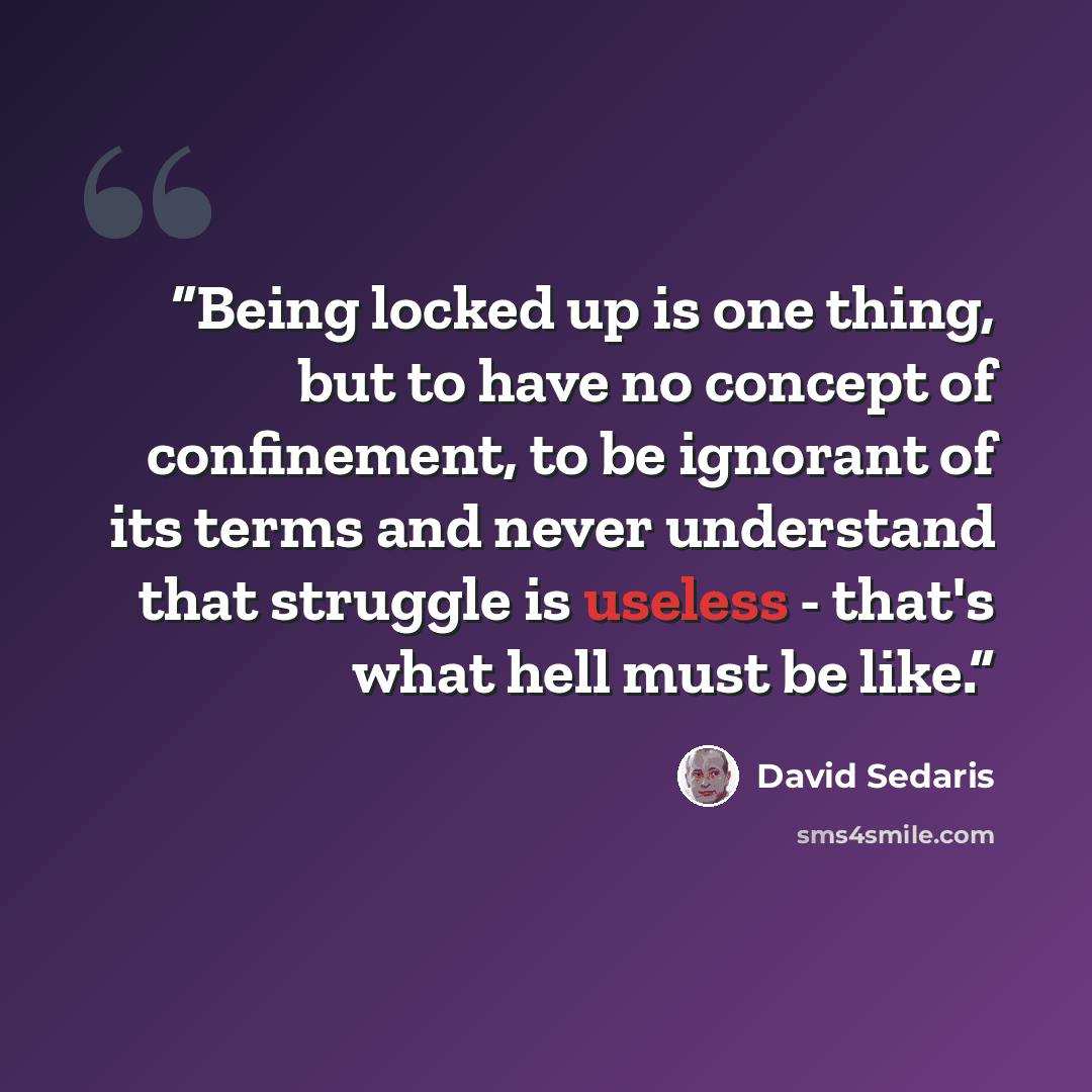 “Being locked up is one thing, but to have no concept of confinement, to be ignorant of its terms and never understand that struggle is useless - that's what hell must be like.” quote by David Sedaris