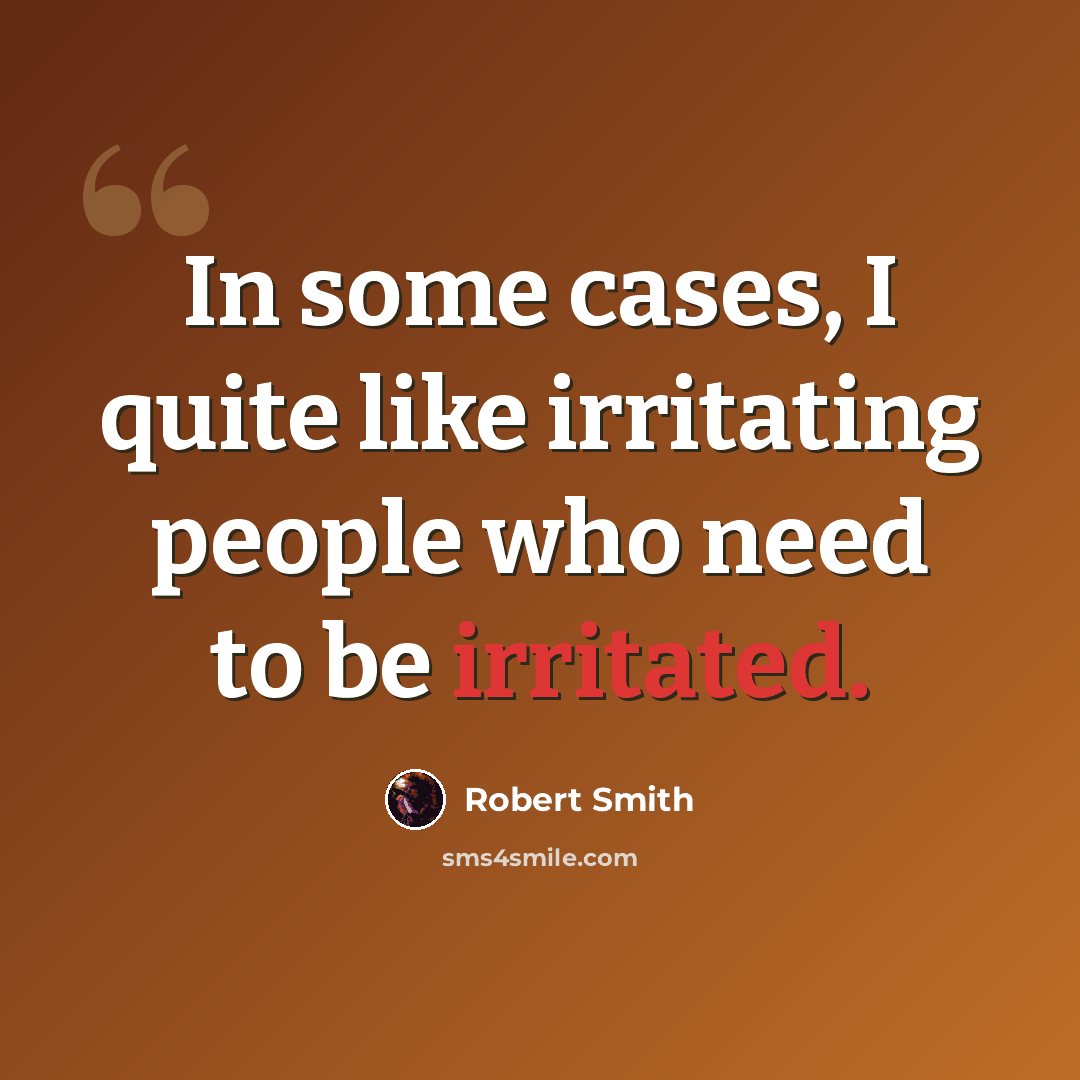 “In some cases, I quite like irritating people who need to be irritated.” quote by Robert Smith