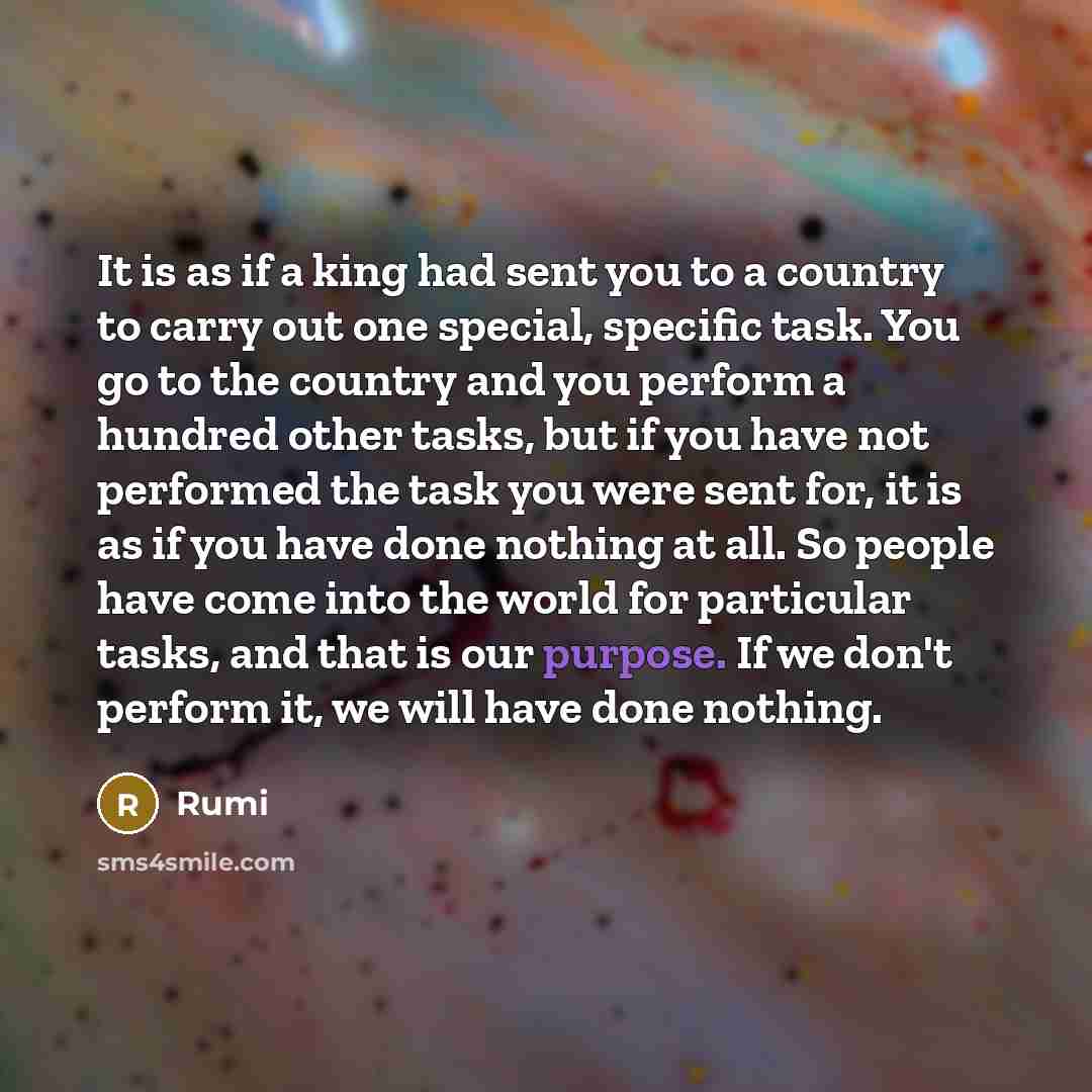 “It is as if a king had sent you to a country to carry out one special, specific task. You go to the country and you perform a hundred other tasks, but if you have not performed the task you were sent for, it is as if you have done nothing at all. So people have come into the world for particular…” quote by Rumi