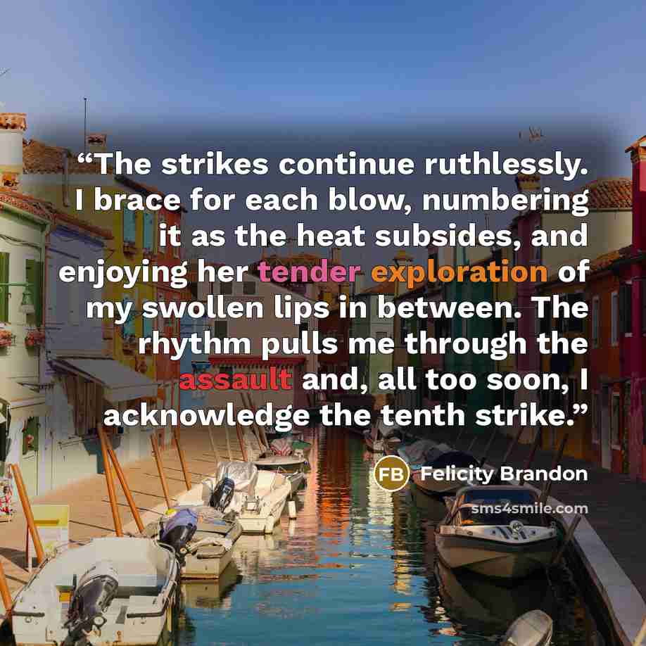 “The strikes continue ruthlessly. I brace for each blow, numbering it as the heat subsides, and enjoying her tender exploration of my swollen lips in between. The rhythm pulls me through the assault and, all too soon, I acknowledge the tenth strike.” quote by Felicity Brandon