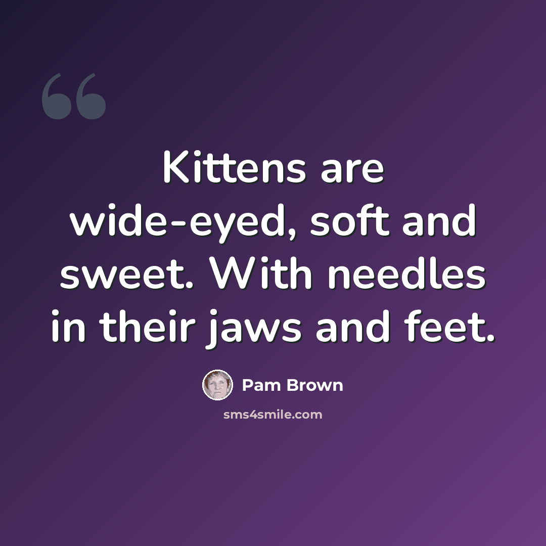 “Kittens are wide-eyed, soft and sweet. With needles in their jaws and feet.” quote by Pam Brown