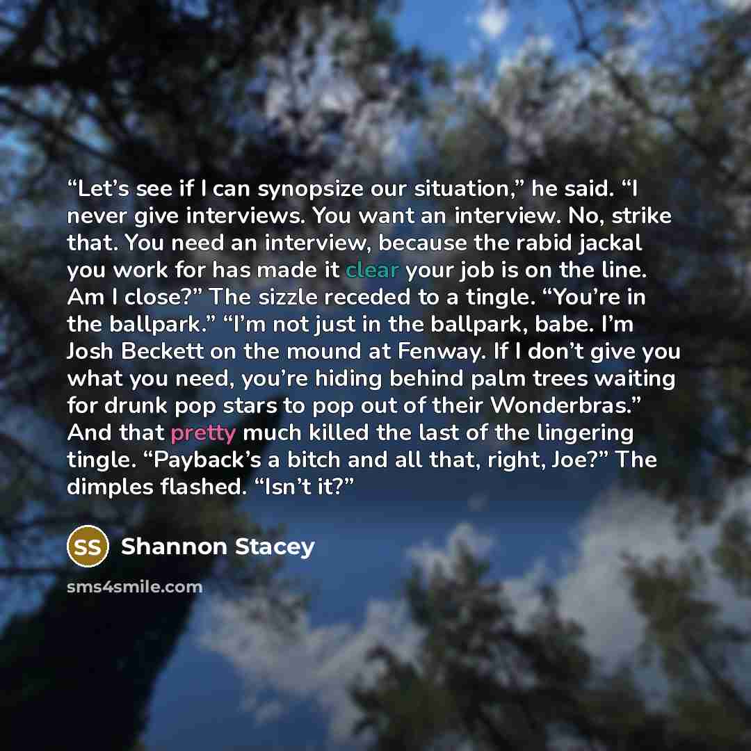 “Let’s see if I can synopsize our situation,” he said. “I never give interviews. You want an interview. No, strike that. You need an interview, because the rabid jackal you work for has made it clear your job is on the line. Am I close?” The sizzle receded to a tingle. “You’re in the ballpark.”…” quote by Shannon Stacey