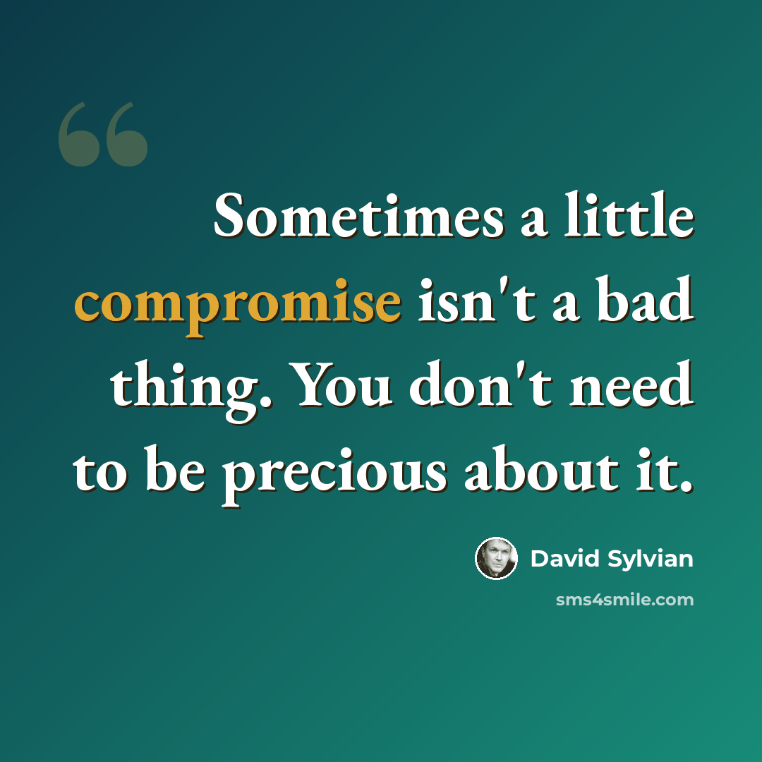 “Sometimes a little compromise isn't a bad thing. You don't need to be precious about it.” quote by David Sylvian