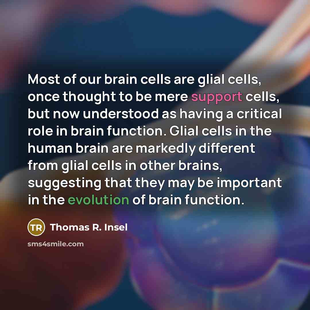 “Most of our brain cells are glial cells, once thought to be mere support cells, but now understood as having a critical role in brain function. Glial cells in the human brain are markedly different from glial cells in other brains, suggesting that they may be important in the evolution of brain…” quote by Thomas R. Insel
