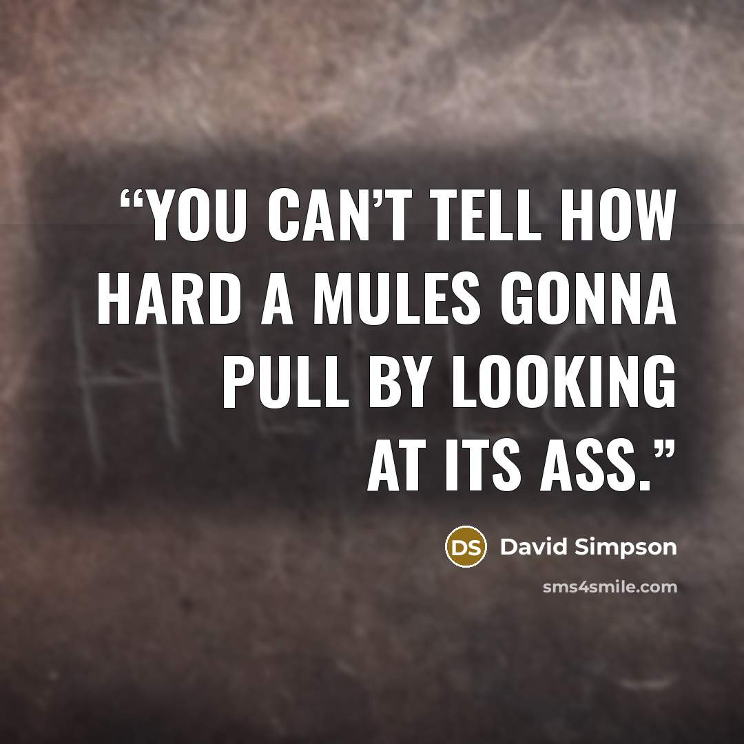 “You can’t tell how hard a mules gonna pull by looking at its ass.” quote by David Simpson
