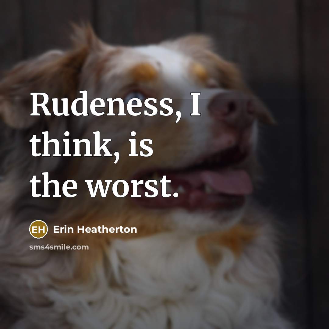 “Rudeness, I think, is the worst.” quote by Erin Heatherton