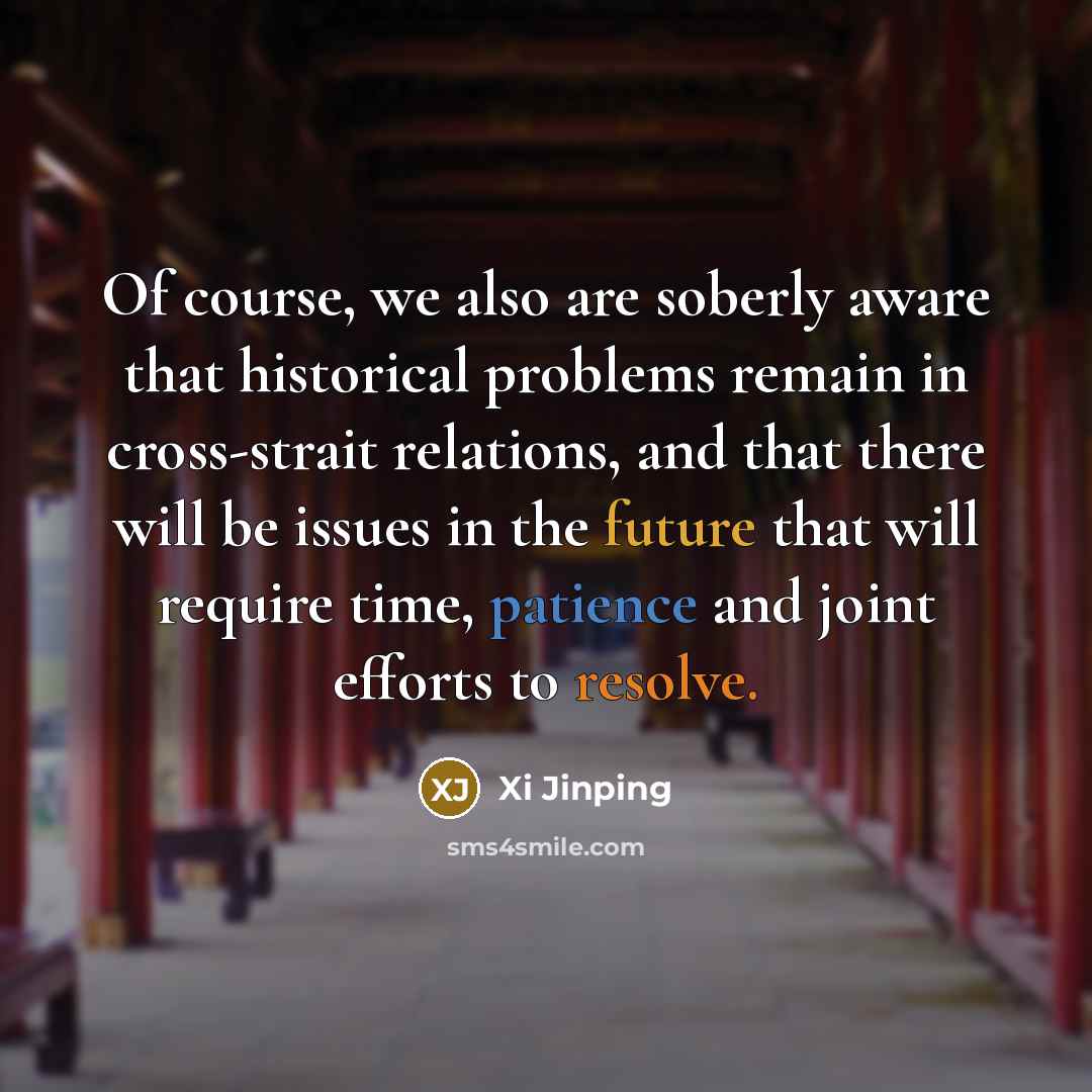 “Of course, we also are soberly aware that historical problems remain in cross-strait relations, and that there will be issues in the future that will require time, patience and joint efforts to resolve.” quote by Xi Jinping