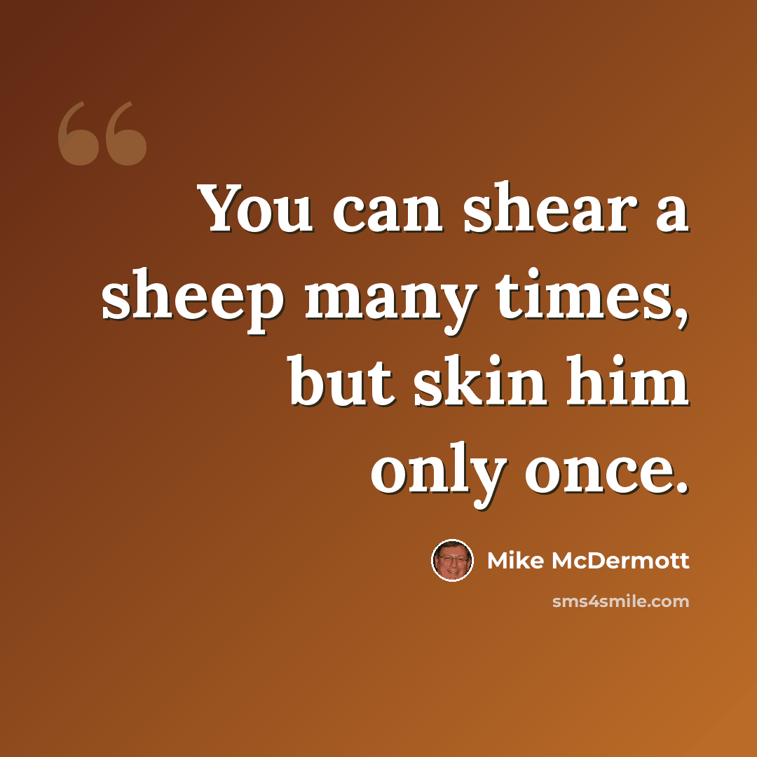 “You can shear a sheep many times, but skin him only once.” quote by Mike McDermott