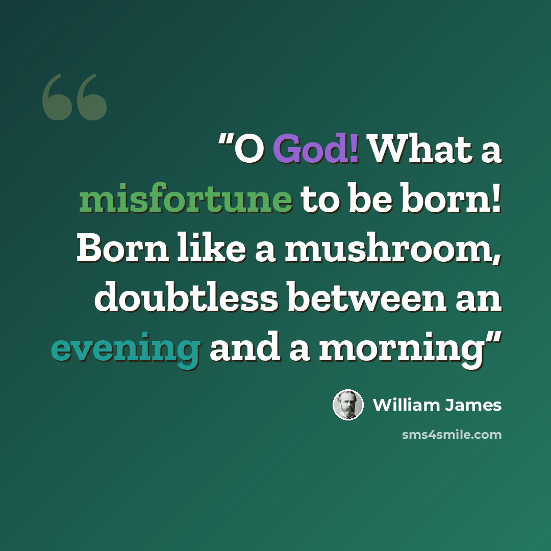 “O God! What a misfortune to be born! Born like a mushroom, doubtless between an evening and a morning” quote by William James