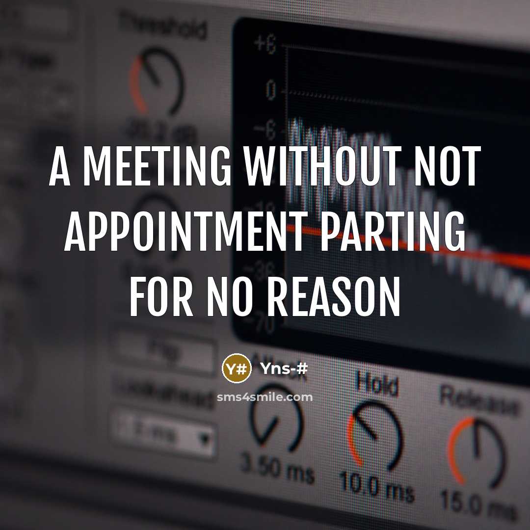 “A meeting without not appointment parting for no reason” quote by Yns-#