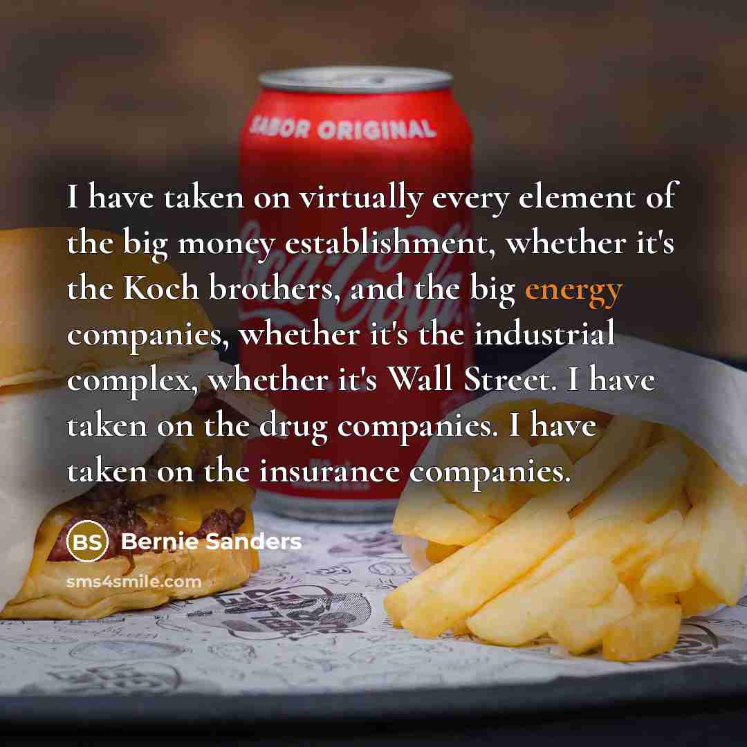 “I have taken on virtually every element of the big money establishment, whether it's the Koch brothers, and the big energy companies, whether it's the industrial complex, whether it's Wall Street. I have taken on the drug companies. I have taken on the insurance companies.” quote by Bernie Sanders