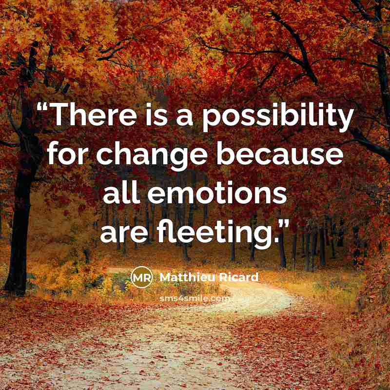 “There is a possibility for change because all emotions are fleeting.” quote by Matthieu Ricard