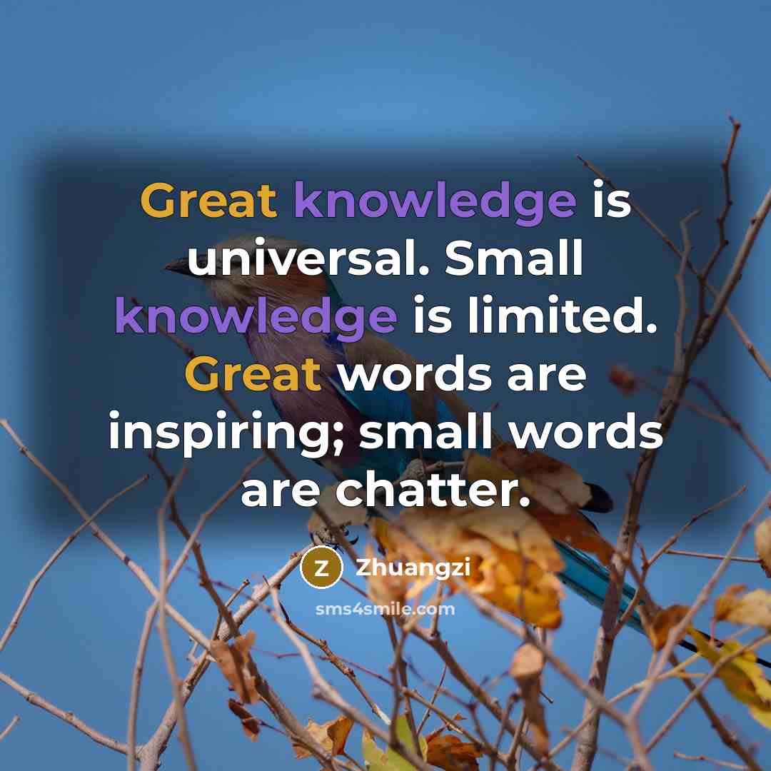 “Great knowledge is universal. Small knowledge is limited. Great words are inspiring; small words are chatter.” quote by Zhuangzi