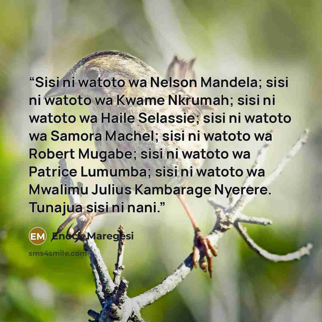 “Sisi ni watoto wa Nelson Mandela; sisi ni watoto wa Kwame Nkrumah; sisi ni watoto wa Haile Selassie; sisi ni watoto wa Samora Machel; sisi ni watoto wa Robert Mugabe; sisi ni watoto wa Patrice Lumumba; sisi ni watoto wa Mwalimu Julius Kambarage Nyerere. Tunajua sisi ni nani.” quote by Enock Maregesi