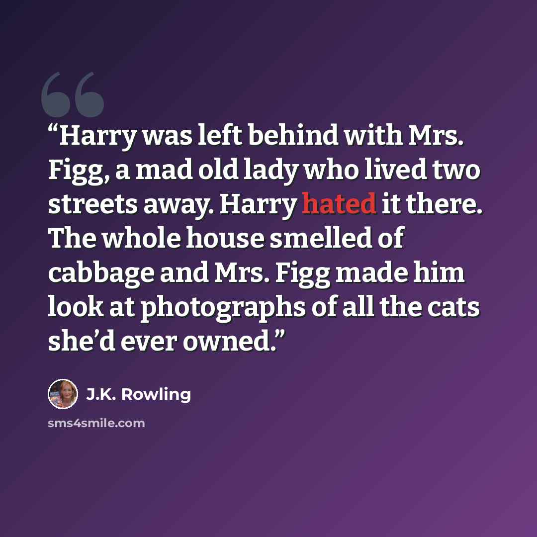 “Harry was left behind with Mrs. Figg, a mad old lady who lived two streets away. Harry hated it there. The whole house smelled of cabbage and Mrs. Figg made him look at photographs of all the cats she’d ever owned.” quote by J.K. Rowling