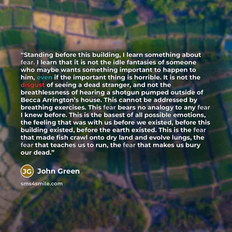 “Standing before this building, I learn something about fear. I learn that it is not the idle fantasies of someone who maybe wants something important to happen to him, even if the important thing is horrible. It is not the disgust of seeing a dead stranger, and not the breathlessness of hearing a…” quote by John Green