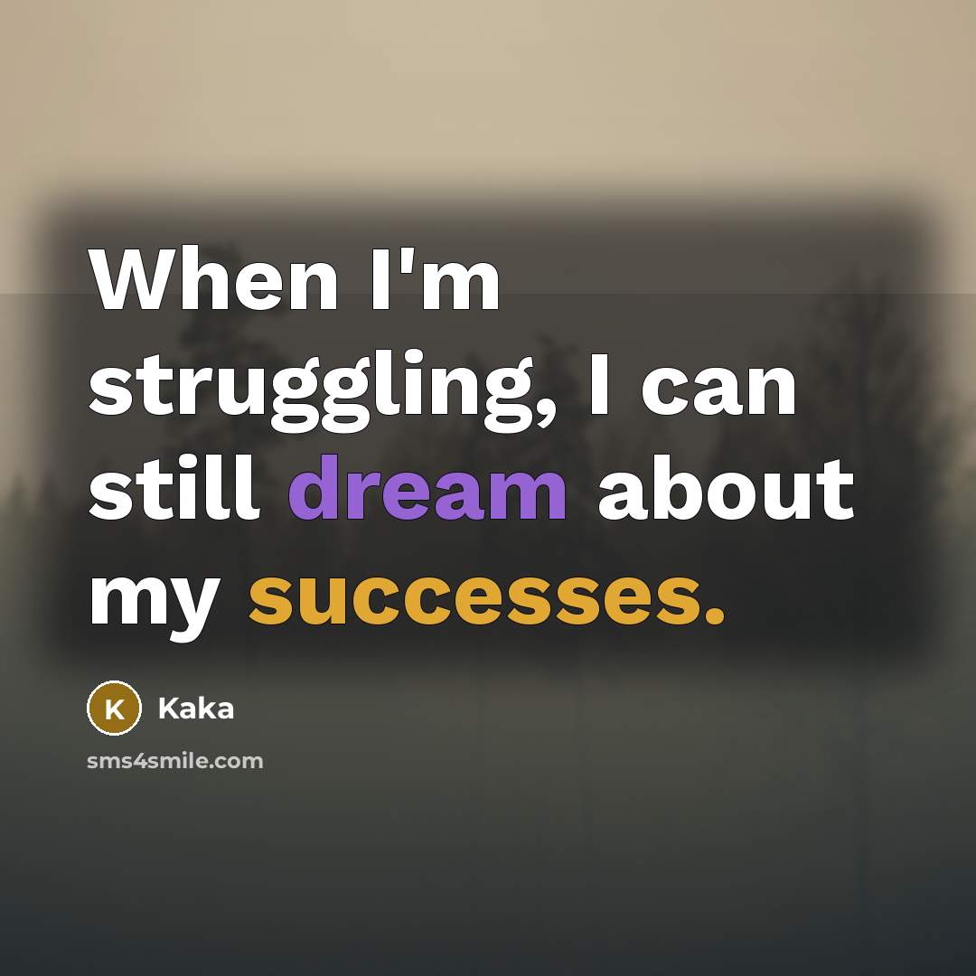 “When I'm struggling, I can still dream about my successes.” quote by Kaka