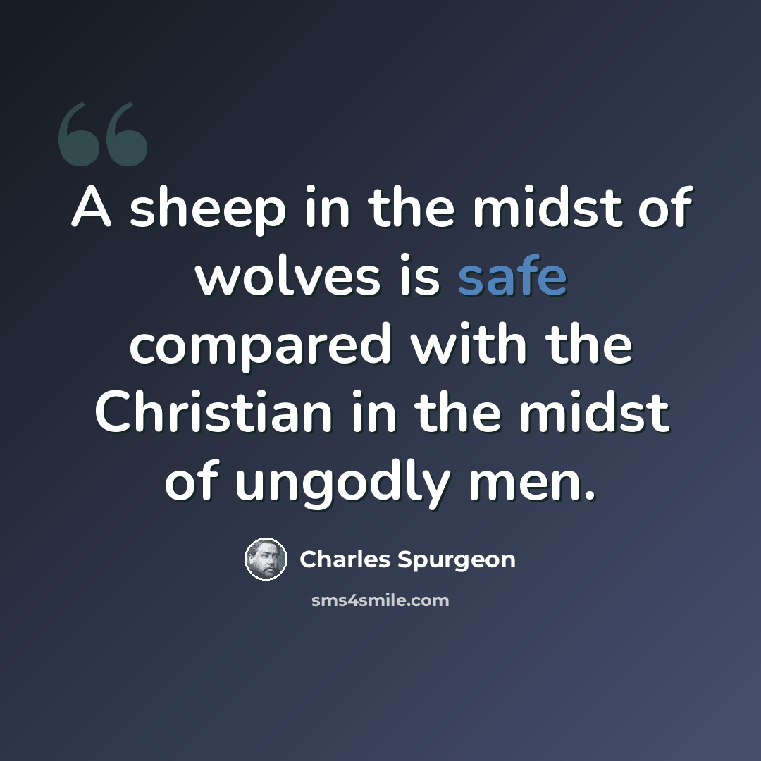 “A sheep in the midst of wolves is safe compared with the Christian in the midst of ungodly men.” quote by Charles Spurgeon