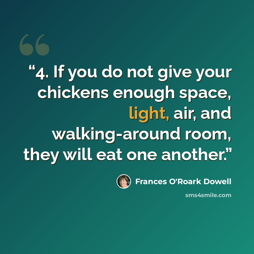 “4. If you do not give your chickens enough space, light, air, and walking-around room, they will eat one another.” quote by Frances O'Roark Dowell