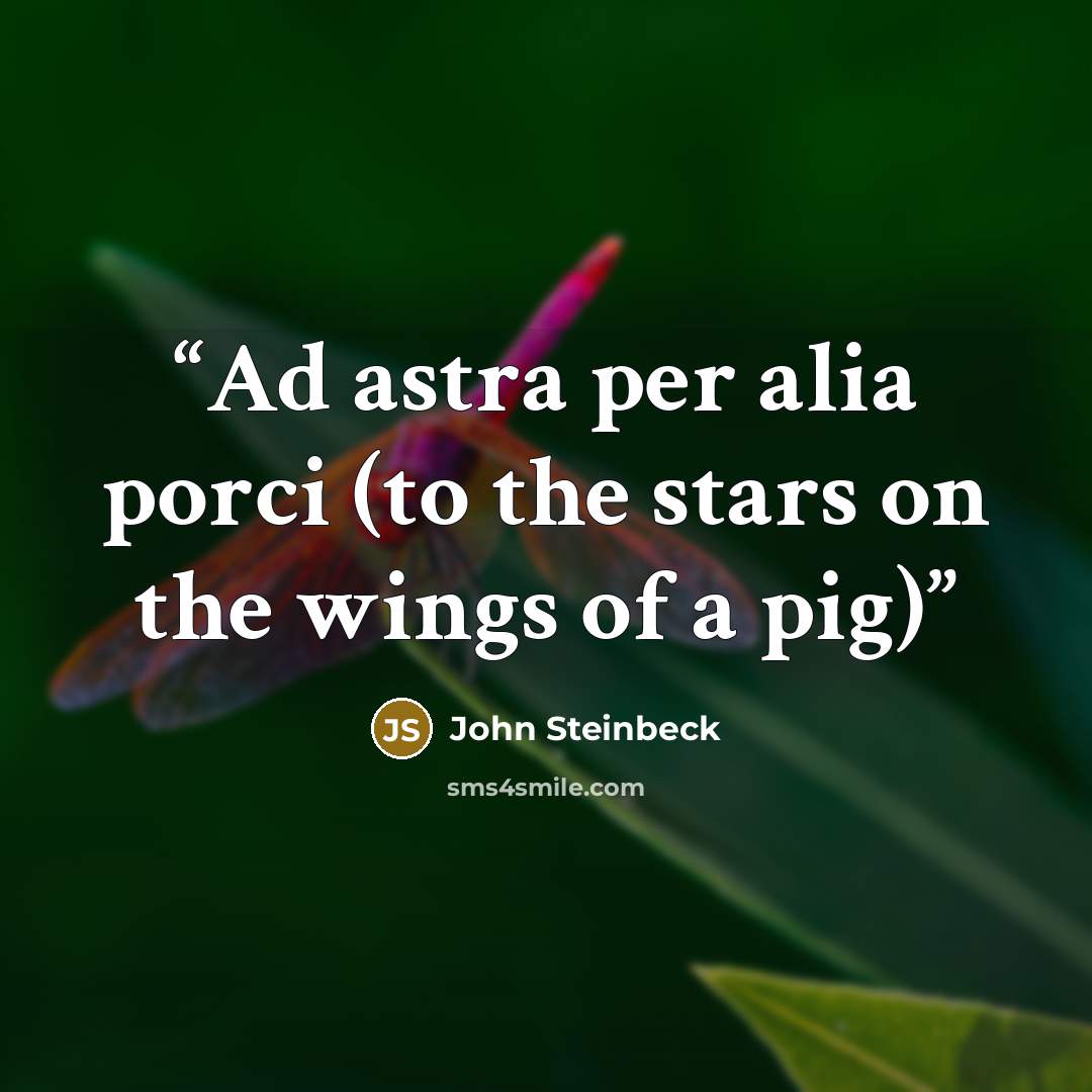 “Ad astra per alia porci (to the stars on the wings of a pig)” quote by John Steinbeck