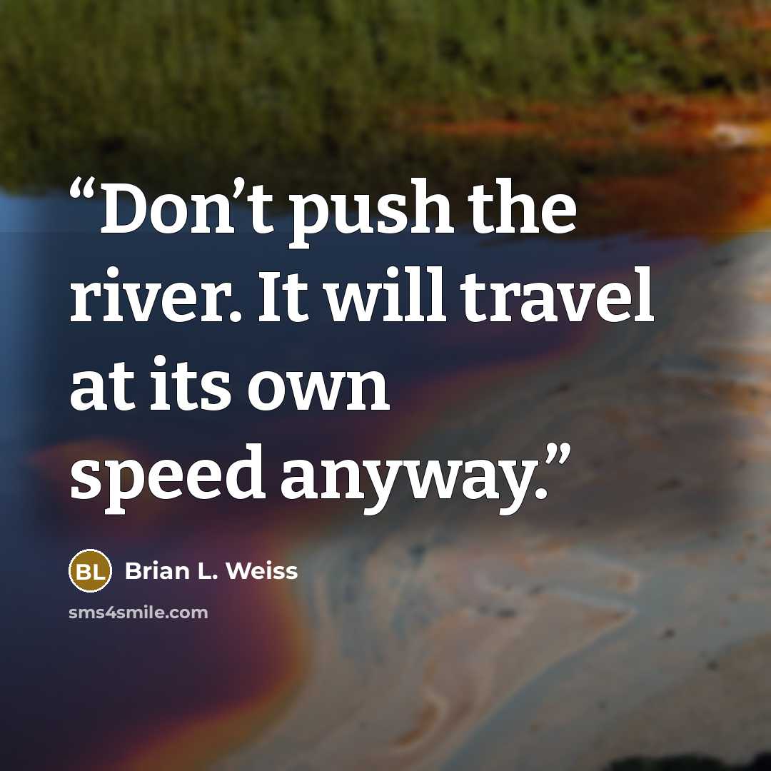 “Don’t push the river. It will travel at its own speed anyway.” quote by Brian L. Weiss
