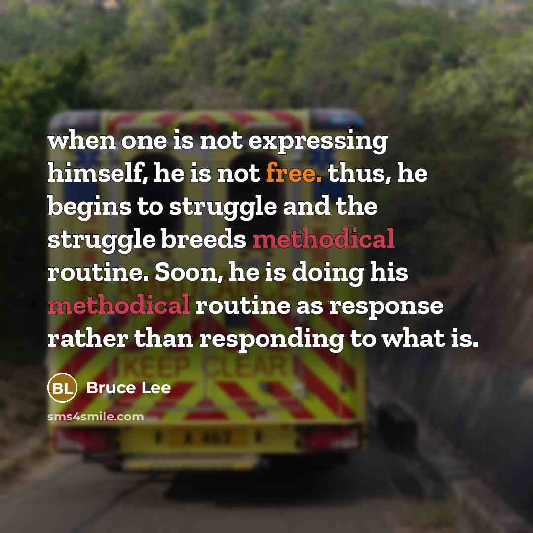 “when one is not expressing himself, he is not free. thus, he begins to struggle and the struggle breeds methodical routine. Soon, he is doing his methodical routine as response rather than responding to what is.” quote by Bruce Lee