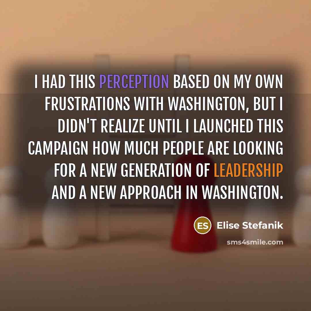 “I had this perception based on my own frustrations with Washington, but I didn't realize until I launched this campaign how much people are looking for a new generation of leadership and a new approach in Washington.” quote by Elise Stefanik