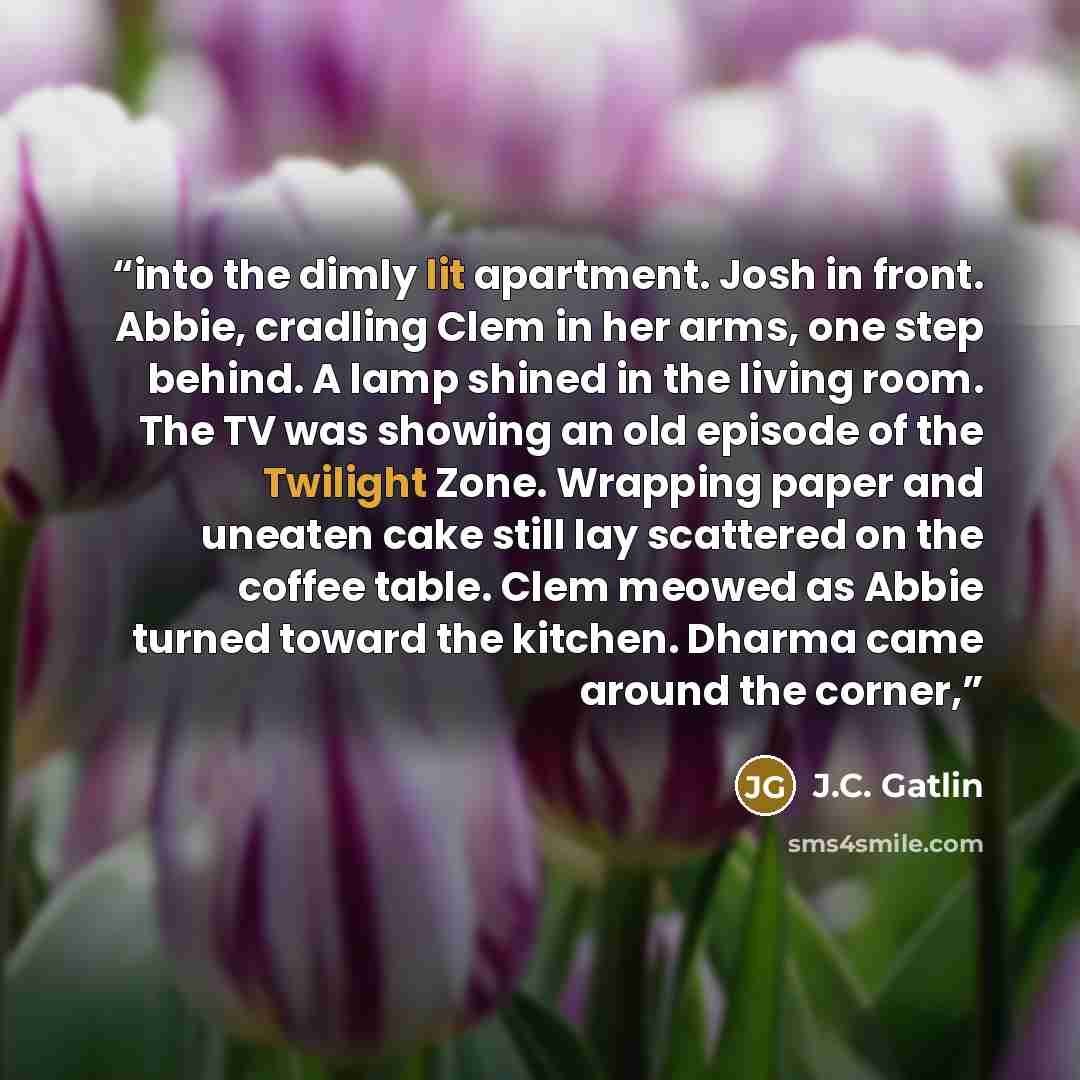 “into the dimly lit apartment. Josh in front. Abbie, cradling Clem in her arms, one step behind. A lamp shined in the living room. The TV was showing an old episode of the Twilight Zone. Wrapping paper and uneaten cake still lay scattered on the coffee table. Clem meowed as Abbie turned toward the…” quote by J.C. Gatlin