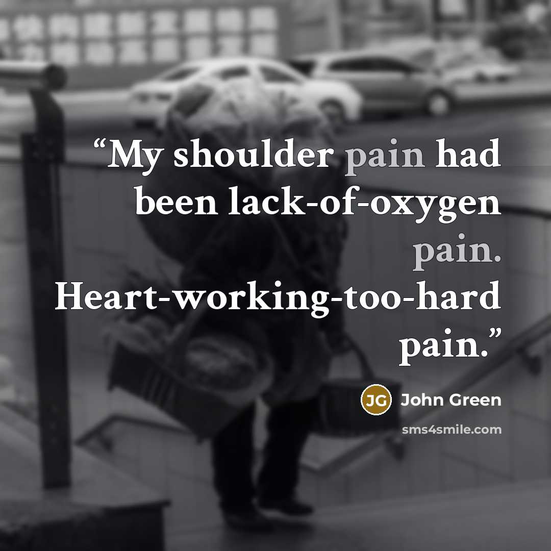 “My shoulder pain had been lack-of-oxygen pain. Heart-working-too-hard pain.” quote by John Green