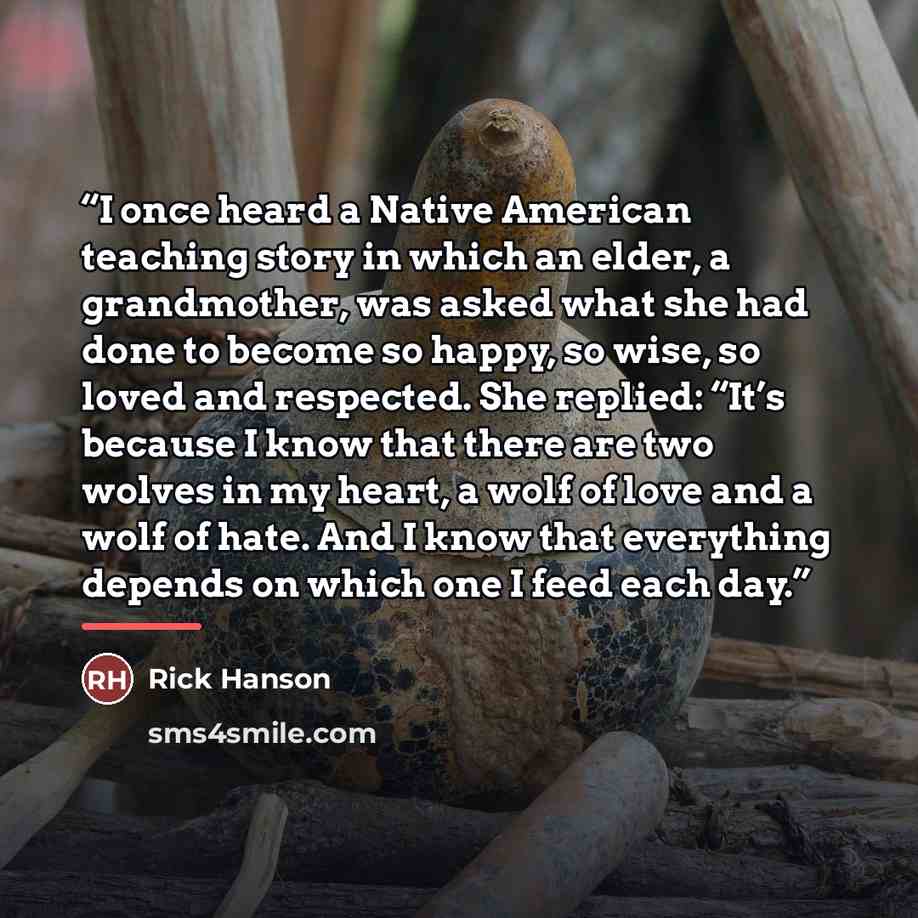 “I once heard a Native American teaching story in which an elder, a grandmother, was asked what she had done to become so happy, so wise, so loved and respected. She replied: “It’s because I know that there are two wolves in my heart, a wolf of love and a wolf of hate. And I know that everything…” quote by Rick Hanson