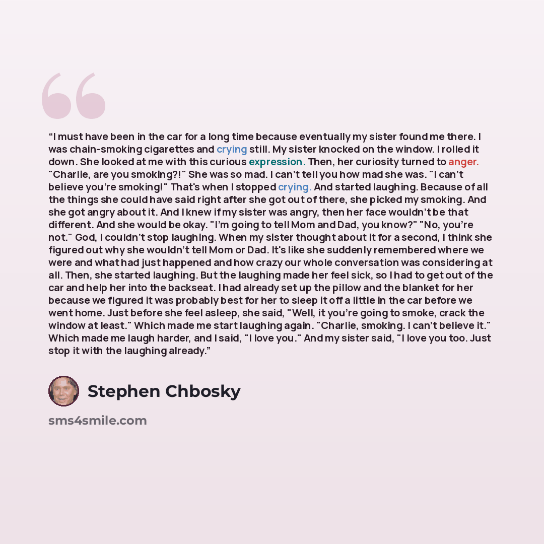 “I must have been in the car for a long time because eventually my sister found me there. I was chain-smoking cigarettes and crying still. My sister knocked on the window. I rolled it down. She looked at me with this curious expression. Then, her curiosity turned to anger. "Charlie, are you…” quote by Stephen Chbosky