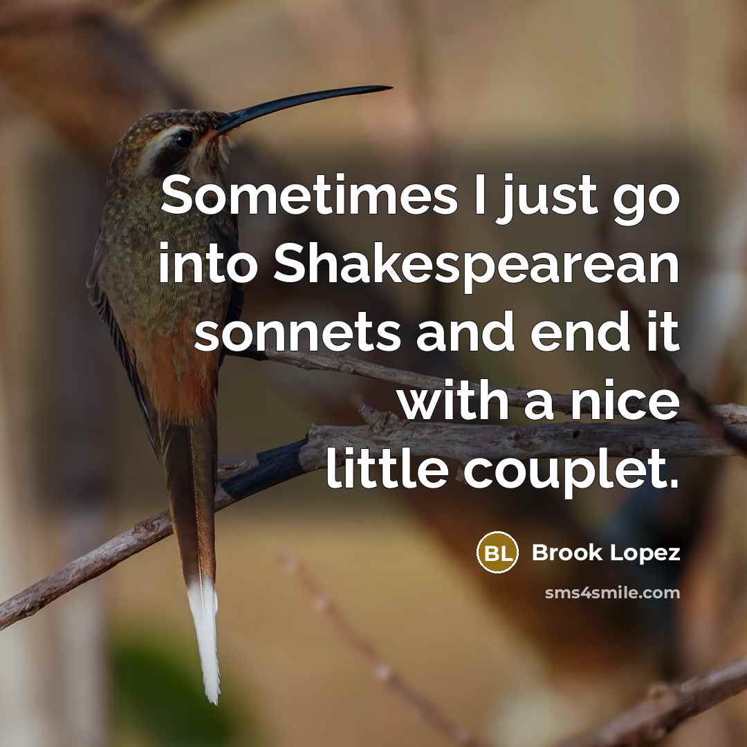 “Sometimes I just go into Shakespearean sonnets and end it with a nice little couplet.” quote by Brook Lopez