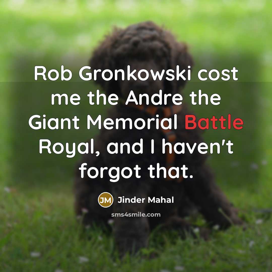 “Rob Gronkowski cost me the Andre the Giant Memorial Battle Royal, and I haven't forgot that.” quote by Jinder Mahal