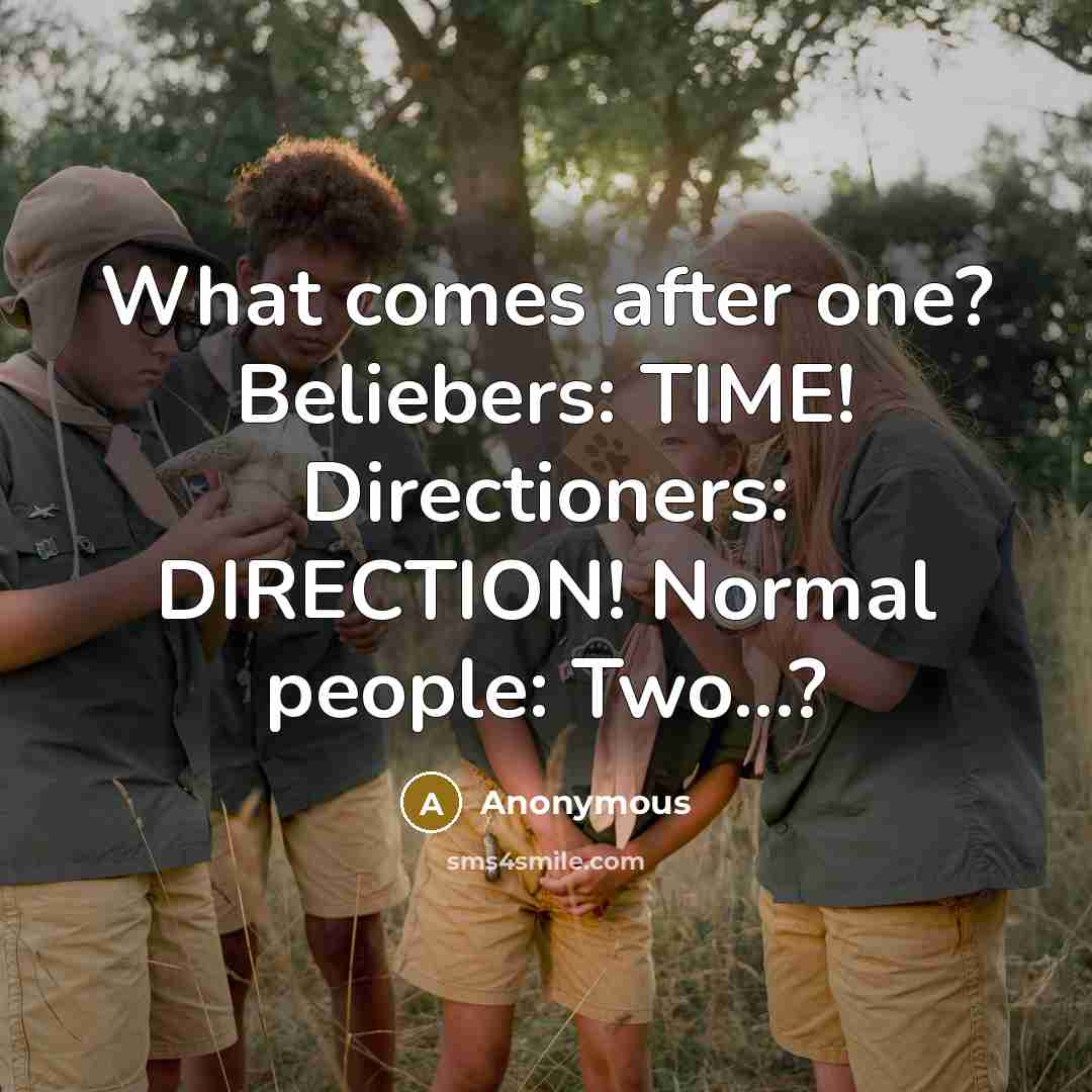“What comes after one? Beliebers: TIME! Directioners: DIRECTION! Normal people: Two...?” quote by Anonymous
