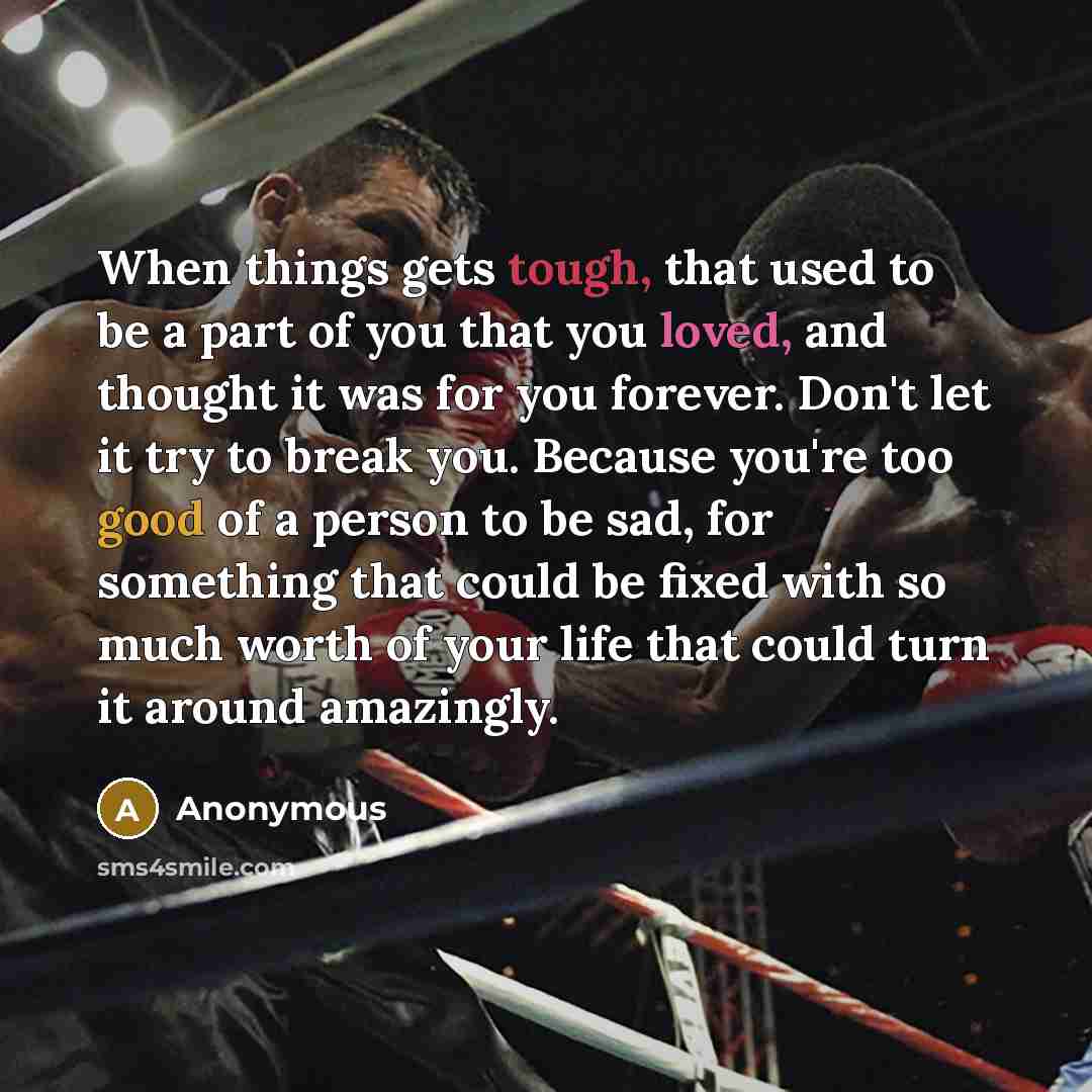 “When things gets tough, that used to be a part of you that you loved, and thought it was for you forever. Don't let it try to break you. Because you're too good of a person to be sad, for something that could be fixed with so much worth of your life that could turn it around amazingly.” quote by Anonymous