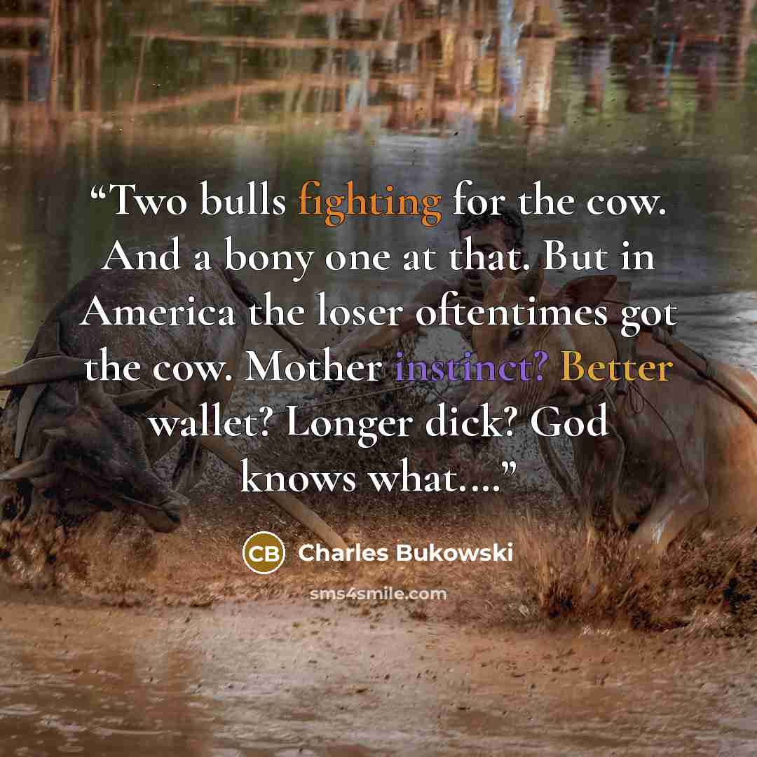 “Two bulls fighting for the cow. And a bony one at that. But in America the loser oftentimes got the cow. Mother instinct? Better wallet? Longer dick? God knows what.…” quote by Charles Bukowski