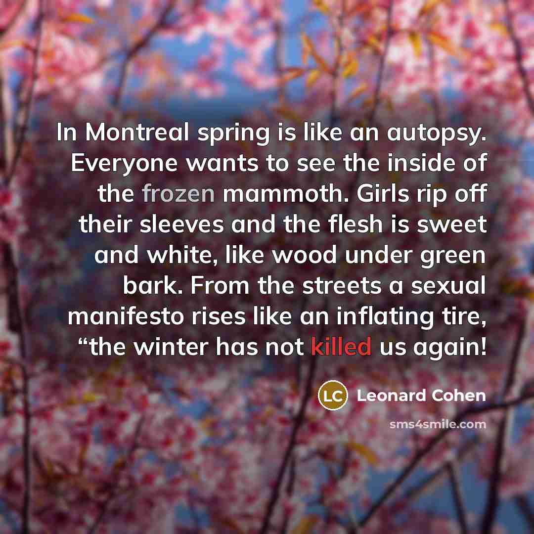 “In Montreal spring is like an autopsy. Everyone wants to see the inside of the frozen mammoth. Girls rip off their sleeves and the flesh is sweet and white, like wood under green bark. From the streets a sexual manifesto rises like an inflating tire, “the winter has not killed us again!” quote by Leonard Cohen