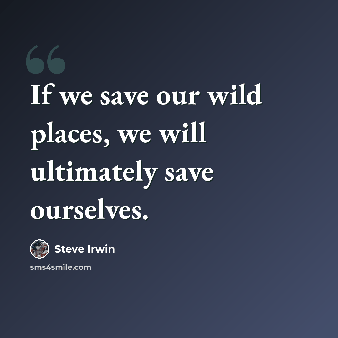 “If we save our wild places, we will ultimately save ourselves.” quote by Steve Irwin