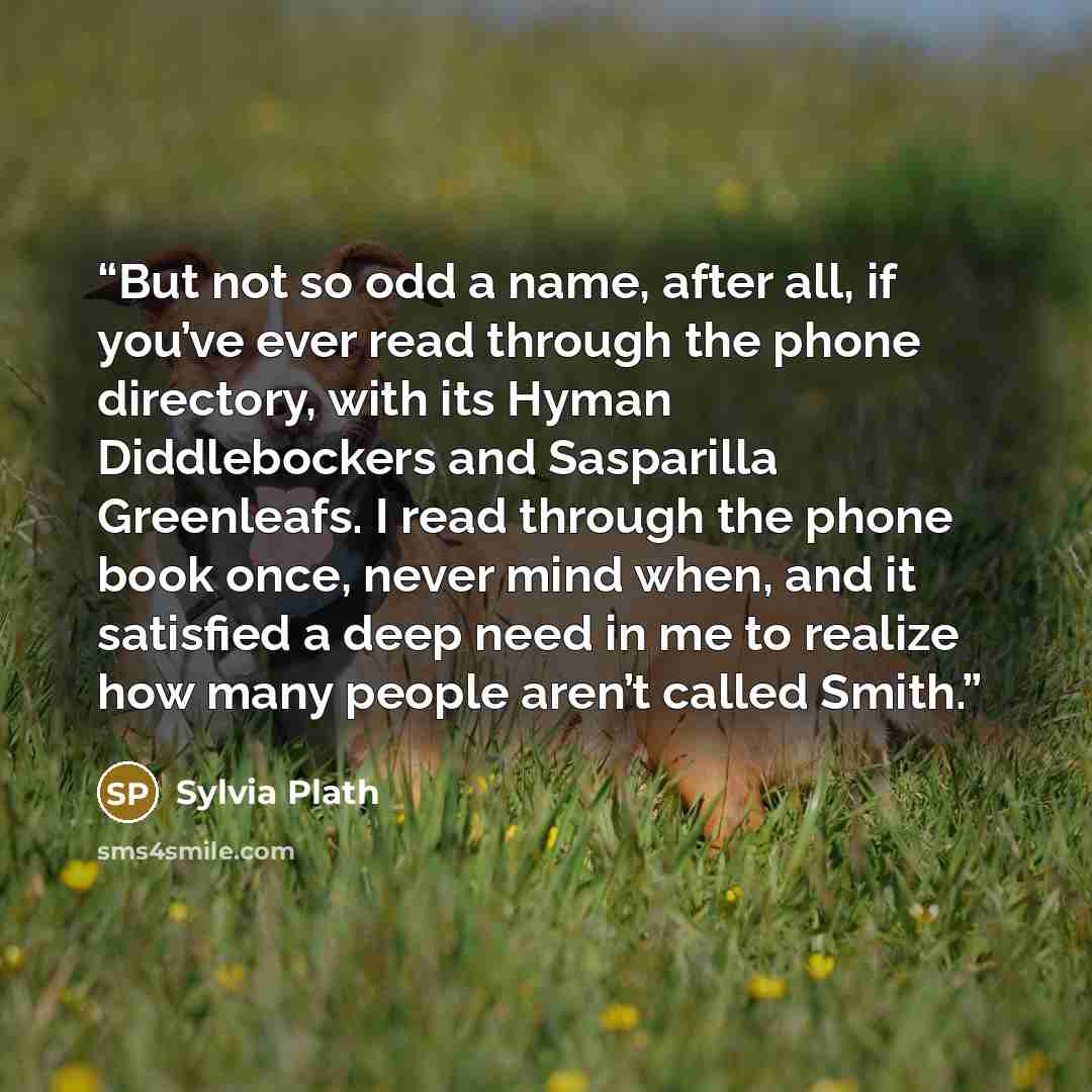 “But not so odd a name, after all, if you’ve ever read through the phone directory, with its Hyman Diddlebockers and Sasparilla Greenleafs. I read through the phone book once, never mind when, and it satisfied a deep need in me to realize how many people aren’t called Smith.” quote by Sylvia Plath