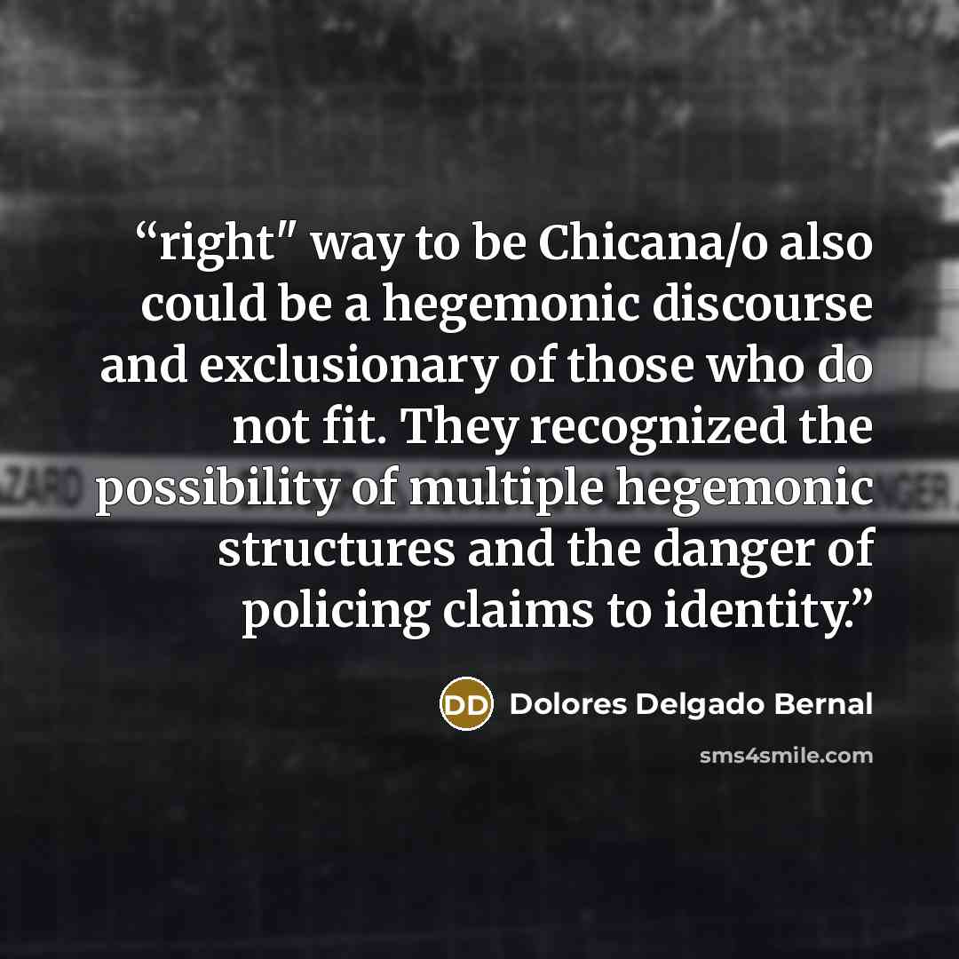 “right" way to be Chicana/o also could be a hegemonic discourse and exclusionary of those who do not fit. They recognized the possibility of multiple hegemonic structures and the danger of policing claims to identity.” quote by Dolores Delgado Bernal