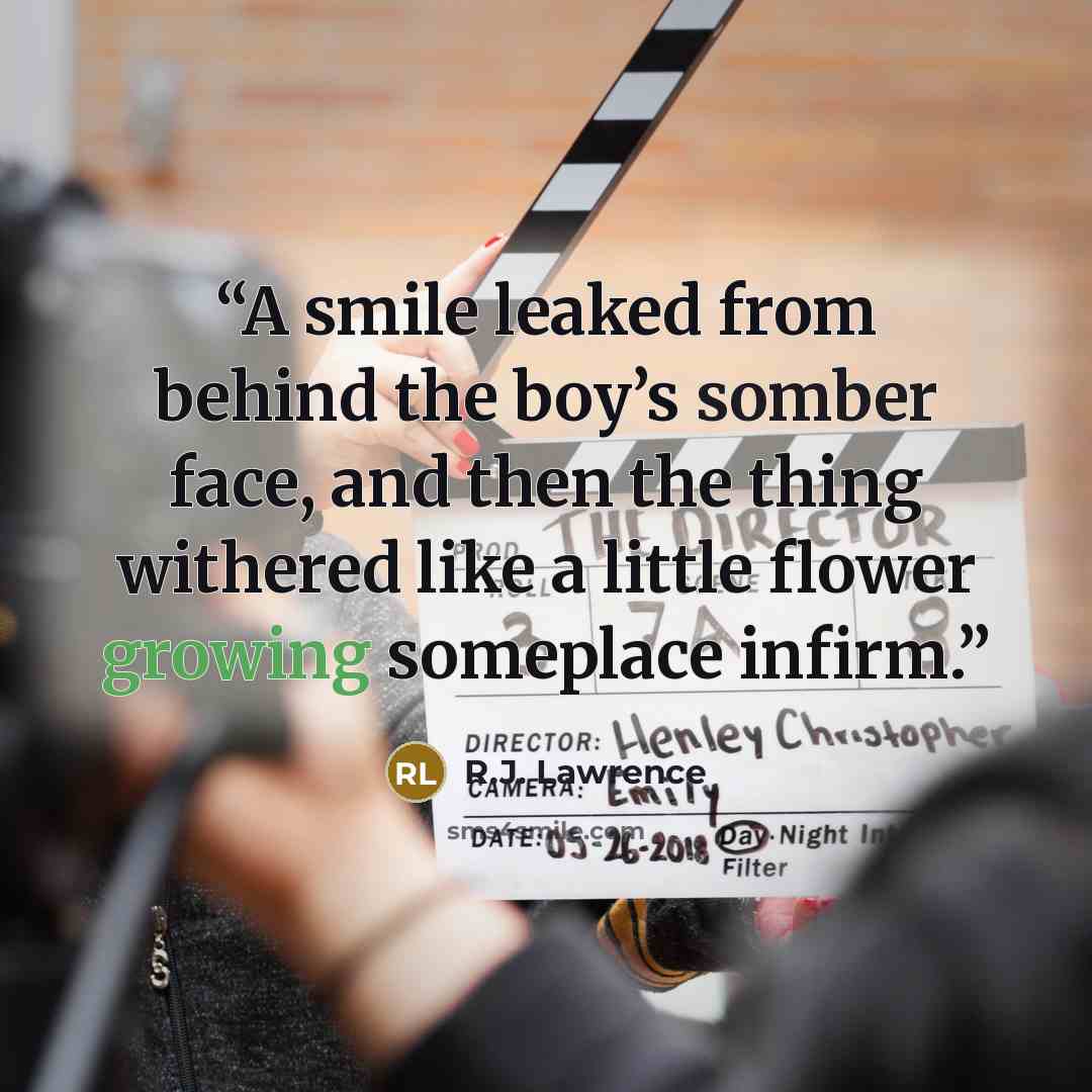 “A smile leaked from behind the boy’s somber face, and then the thing withered like a little flower growing someplace infirm.” quote by R.J. Lawrence