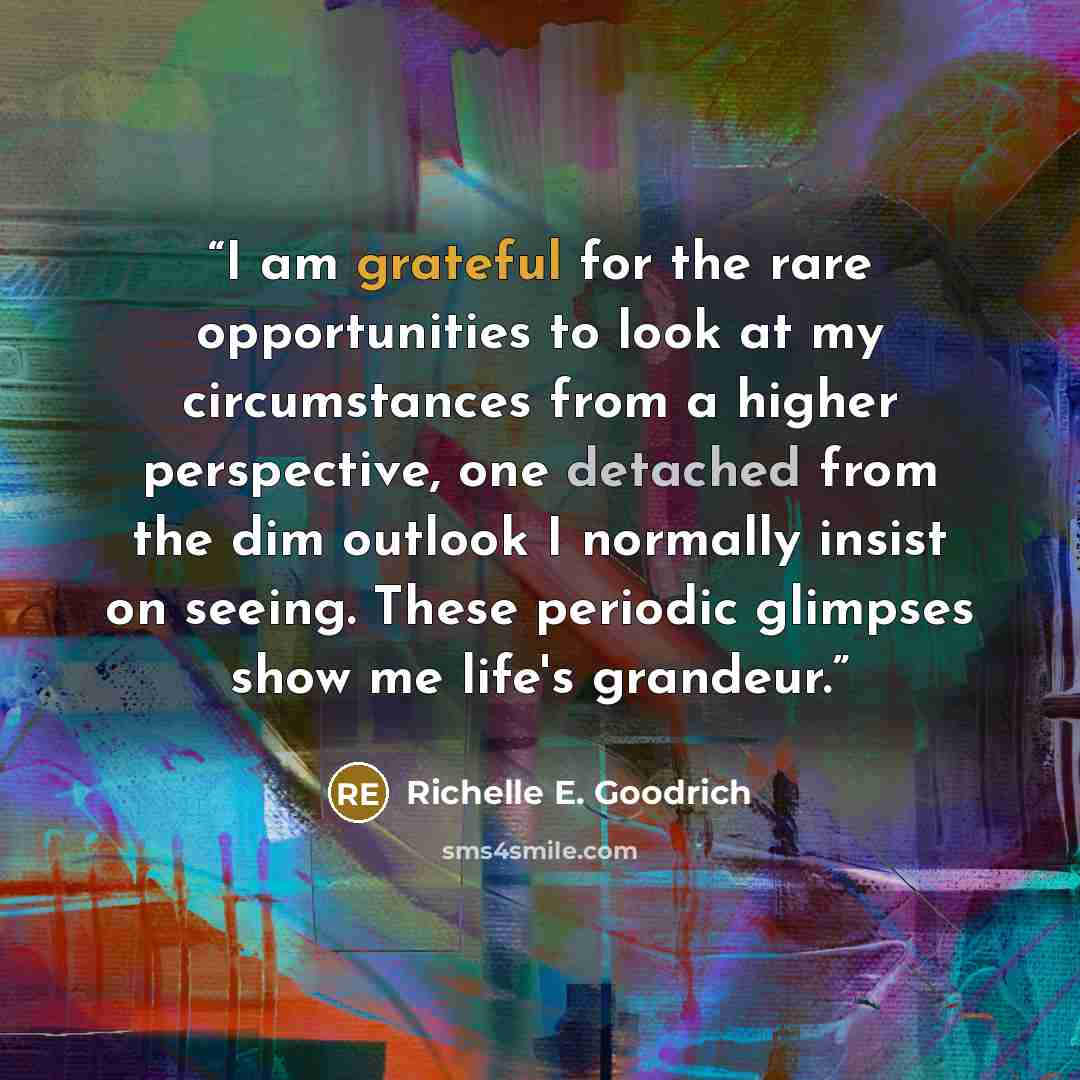 “I am grateful for the rare opportunities to look at my circumstances from a higher perspective, one detached from the dim outlook I normally insist on seeing. These periodic glimpses show me life's grandeur.” quote by Richelle E. Goodrich