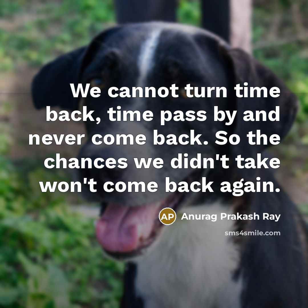 “We cannot turn time back, time pass by and never come back. So the chances we didn't take won't come back again.” quote by Anurag Prakash Ray