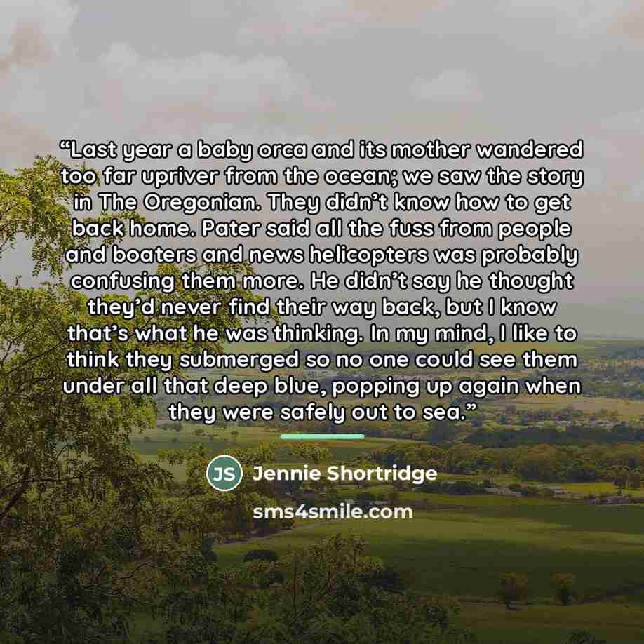 “Last year a baby orca and its mother wandered too far upriver from the ocean; we saw the story in The Oregonian. They didn’t know how to get back home. Pater said all the fuss from people and boaters and news helicopters was probably confusing them more. He didn’t say he thought they’d never find…” quote by Jennie Shortridge