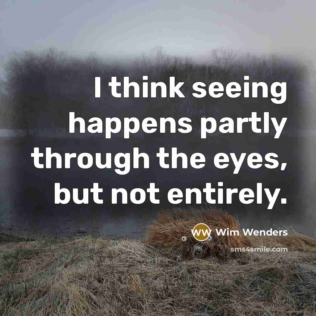 “I think seeing happens partly through the eyes, but not entirely.” quote by Wim Wenders