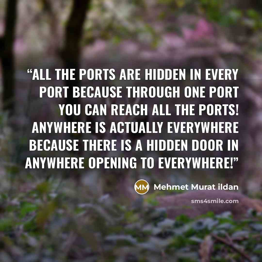 “All the ports are hidden in every port because through one port you can reach all the ports! Anywhere is actually everywhere because there is a hidden door in anywhere opening to everywhere!” quote by Mehmet Murat ildan